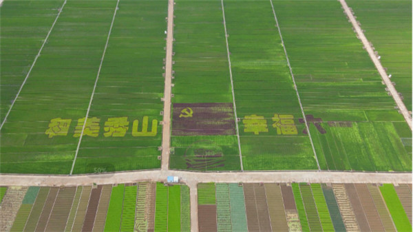 拆除違規建筑、禁養區養殖清零…通海杞麓湖實施最嚴格保護措施 拆除違規建筑、禁養區養殖清零…通海杞麓湖實施最嚴格保護措施