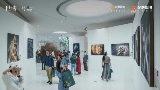 華夏金地世博一號樹影藝術中心實景圖 華夏金地世博一號樹影藝術中心實景圖