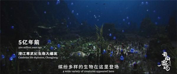 COP15云南宣傳片震撼發布!《云南密碼》為您解密云南 COP15云南宣傳片震撼發布!《云南密碼》為您解密云南
