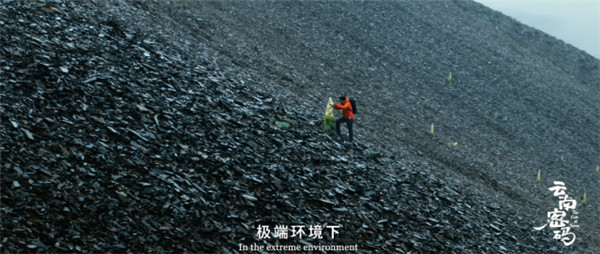 COP15云南宣傳片震撼發布!《云南密碼》為您解密云南 COP15云南宣傳片震撼發布!《云南密碼》為您解密云南