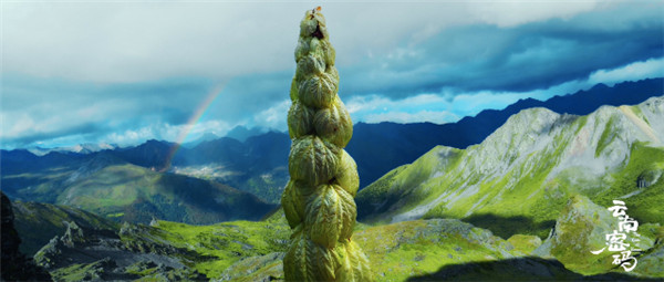 COP15云南宣傳片震撼發布!《云南密碼》為您解密云南 COP15云南宣傳片震撼發布!《云南密碼》為您解密云南