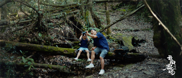 COP15云南宣傳片震撼發布!《云南密碼》為您解密云南 COP15云南宣傳片震撼發布!《云南密碼》為您解密云南