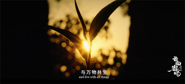 COP15云南宣傳片震撼發布!《云南密碼》為您解密云南 COP15云南宣傳片震撼發布!《云南密碼》為您解密云南