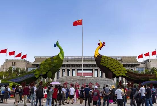 COP15e˳֜ʂ䣨DԴWj