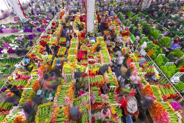 sЇ oü҈@COP15_C\VýwMǡ˴졢