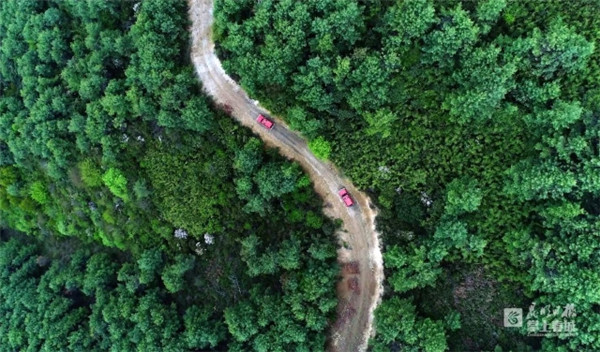 sЇ oü҈@COP15_C\VýwMǡ˴졢