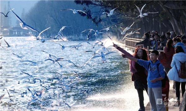 sЇ oü҈@COP15_C\VýwMǡ˴졢