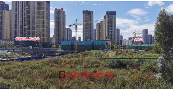 Ȫ(zhn)_l(f)˱Ѕ^(q)ȣl(f)yQ 