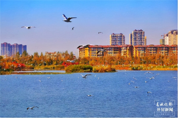 “多樣昆明美麗家園”引發(fā)城市營銷新熱度 “多樣昆明美麗家園”引發(fā)城市營銷新熱度