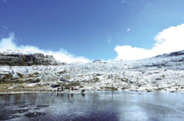 1125գ붬׈ѩIɽL箋 CFP D