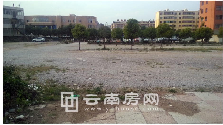 Ąĵ؉KһȜSͣ܇Wzڣ2019꣩