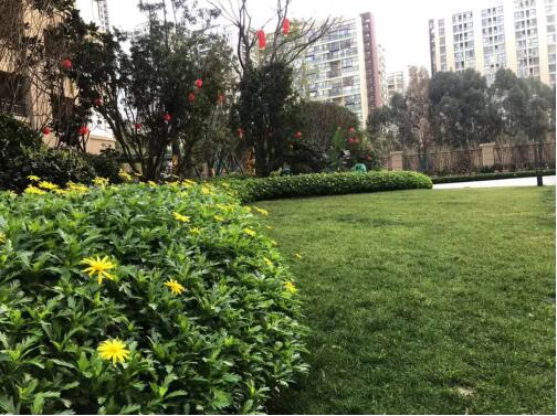 Ҹ𺽣̩TA2-2؉KݼΈ@С^ʢ󽻸