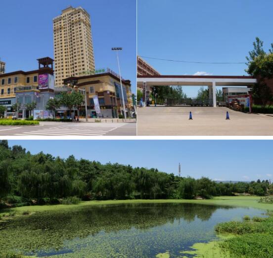 W(xu)ĳ̘I(y)V(chng)&ϴW(xu)،W(xu)Ժ&@@ح(sh)D