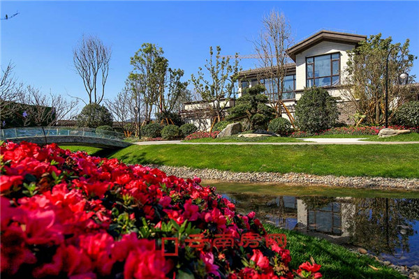 f_sMͶ100|_lþCwǮ߀ɣ