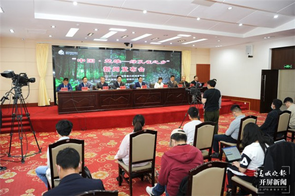 (sh)_300ֻۃA조Gȸ֮l(xing)Ʒ