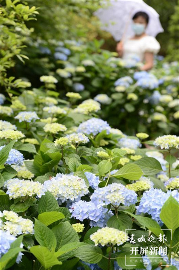 F\أһƬҰ@5000C򻨾`