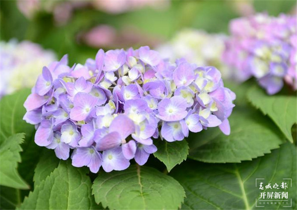 F\أһƬҰ@5000C򻨾`