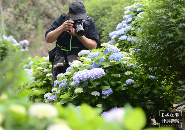 F\أһƬҰ@5000C򻨾`