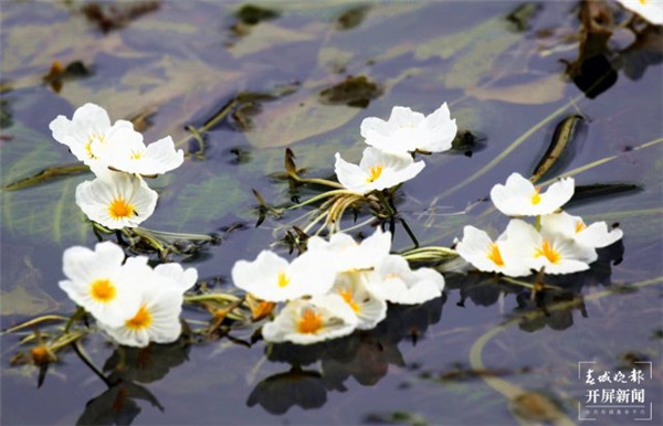 մ溣سʬF(xin)x偡澰