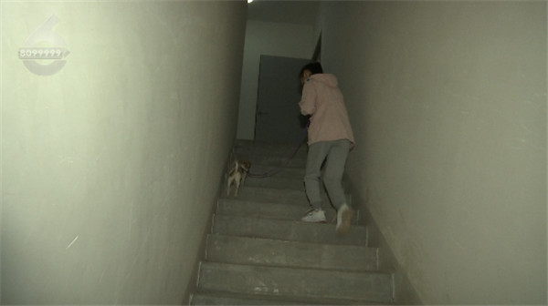 ]I(y)MֻһС^(q)bݿءl(f)I(y)M