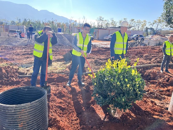 6c8f71e884f691ff369db66d79b4d0b