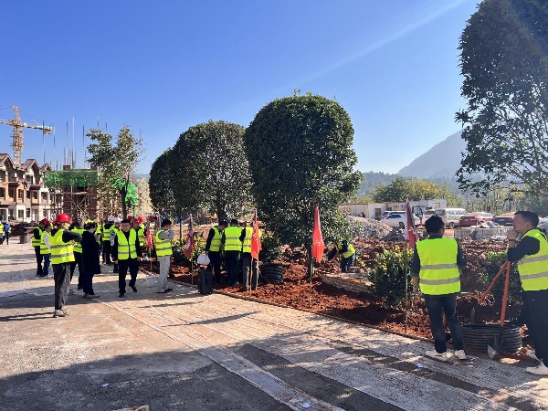 bb1af615547eb3094cb2e1069df3a48