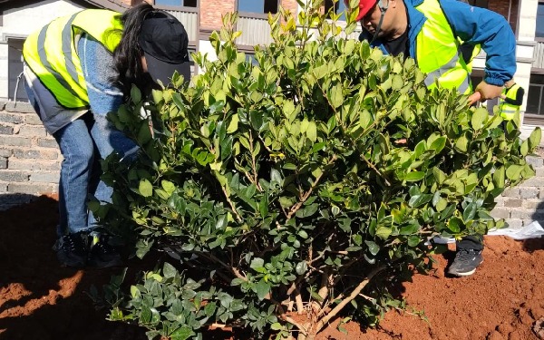 1fa7cd10099816830f3b3e53d0288d5