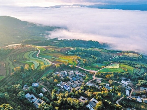 曲靖這個村獲“國字號”榮譽,憑啥? 曲靖這個村獲“國字號”榮譽,憑啥?