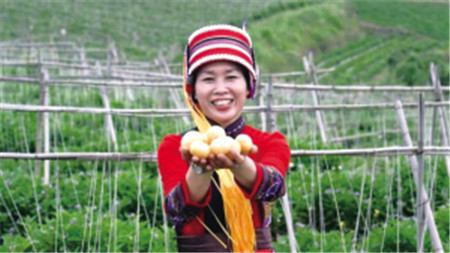 2022꣬ʯֿ֡˅־C̘˳ɹע D