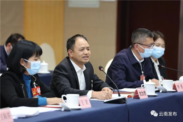 云南省代表團分組審議“兩高”工作報告 云南省代表團分組審議“兩高”工作報告