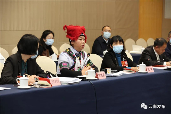 云南省代表團分組審議“兩高”工作報告 云南省代表團分組審議“兩高”工作報告