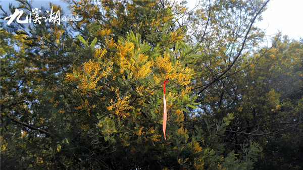 山水里的國風勝景,以愛之名,約一場醒春之旅 山水里的國風勝景,以愛之名,約一場醒春之旅