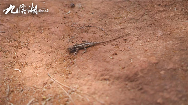山水里的國風勝景,以愛之名,約一場醒春之旅 山水里的國風勝景,以愛之名,約一場醒春之旅