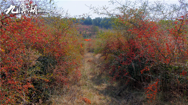 山水里的國風勝景,以愛之名,約一場醒春之旅 山水里的國風勝景,以愛之名,約一場醒春之旅