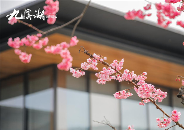 山水里的國風勝景,以愛之名,約一場醒春之旅 山水里的國風勝景,以愛之名,約一場醒春之旅