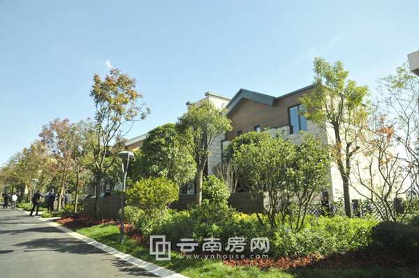 滇池高爾夫不僅距離滇池近,也是最貴的滇池樓盤之一 滇池高爾夫不僅距離滇池近,也是最貴的滇池樓盤之一