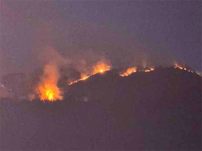 Ϫͻl(f)ɭֻ(zi)ʡɭ543ָ(zhn)TͶ