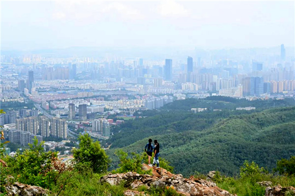 Lxɽ޽4︡՗ļtƹ@ֱ_(d)ɽ