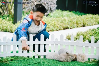 d6c39954f78b705acef95a55c6fc752