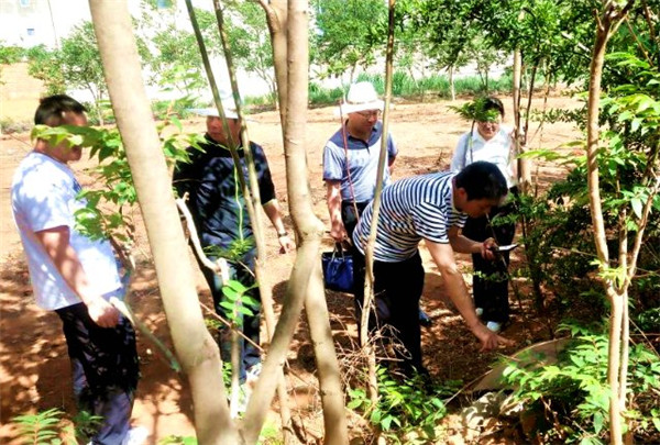 曲靖陸良田野考古調查有新發現 曲靖陸良田野考古調查有新發現