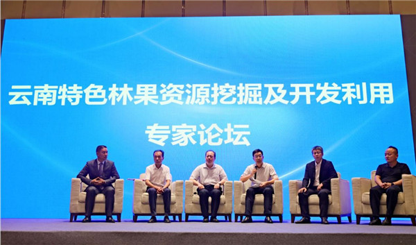 對話云南特色林果資源,科技賦能綠色產業高質量發展 對話云南特色林果資源,科技賦能綠色產業高質量發展