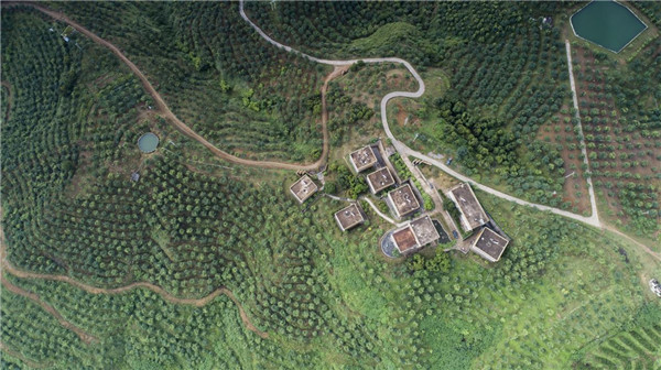 對話云南特色林果資源,科技賦能綠色產業高質量發展 對話云南特色林果資源,科技賦能綠色產業高質量發展