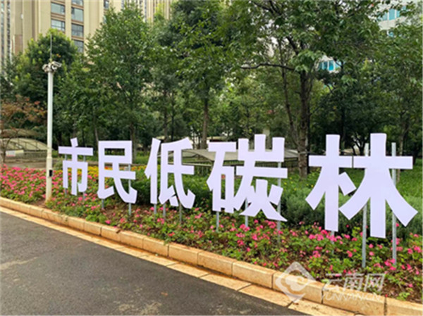 бP^L^xBh2022Gɫ̼Ͱ