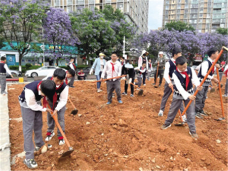 通過實踐,學生們掌握了種菜這一勞動技能 通過實踐,學生們掌握了種菜這一勞動技能