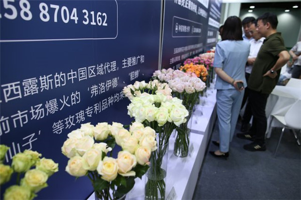 ͹ƻN2023xõ幝Ļ