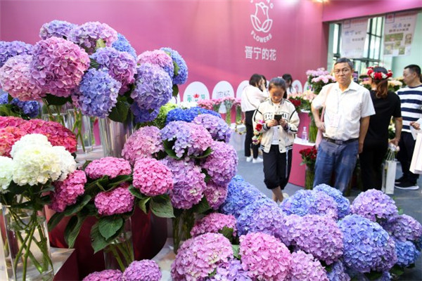 ͹ƻN2023xõ幝Ļ