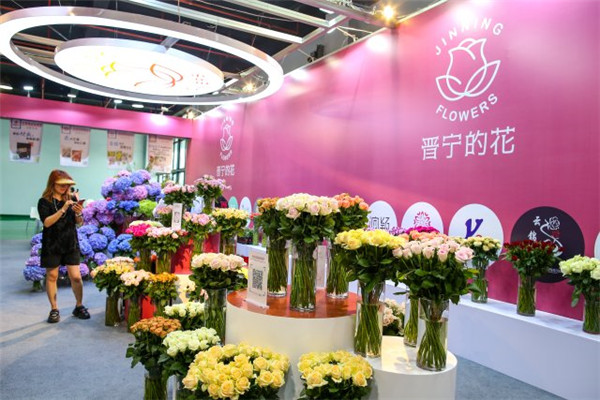 ͹ƻN2023xõ幝Ļ