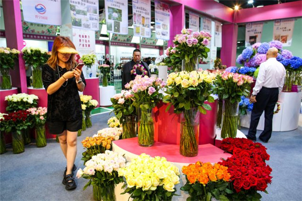 ͹ƻN2023xõ幝Ļ