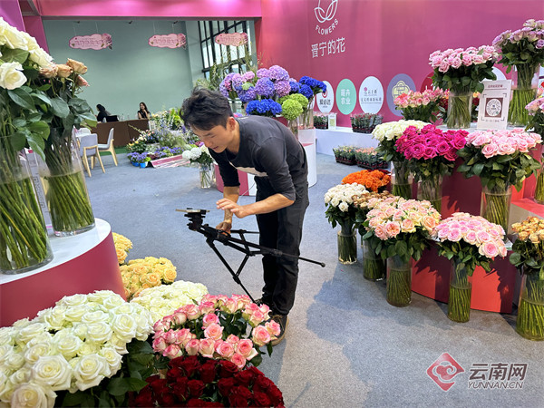 2023晉寧玫瑰節(jié)直播帶貨大賽舉行 9位主播PK帶貨 2023晉寧玫瑰節(jié)直播帶貨大賽舉行 9位主播PK帶貨