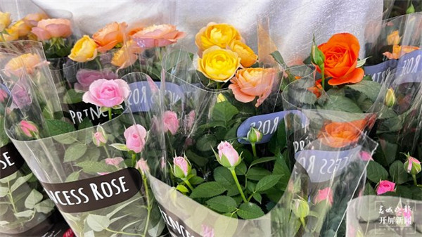 昆明晉寧區舉行招商引資推介會,達成協議投資約112億元 昆明晉寧區舉行招商引資推介會,達成協議投資約112億元